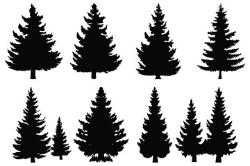 Set of Pine Tree Silhouettes | Vector Evergreen Tree Shapes for Forest and Winter Design
