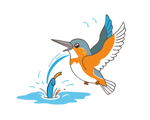 Female Kingfisher emerging from the water after an unsuccessful dive to grab a fish