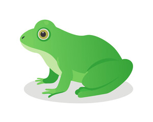 green tree frog