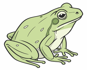 frog on white background