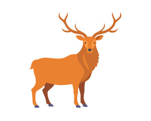 deer vector illustration