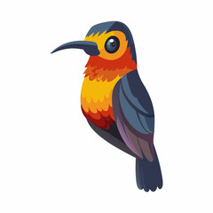 kingfisher on white background