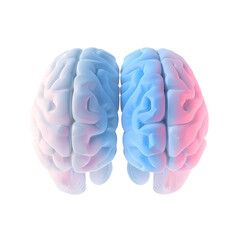 3D Brain with Blue and Pink Halves Symbolizing Gender Differences on a Transparent Background