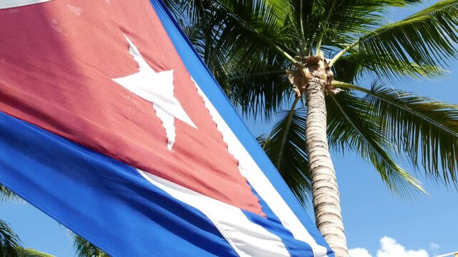 Cuban national flag set against a tropical palm tree and blue sky. Symbol of the communist Caribbean country of Cuba.
