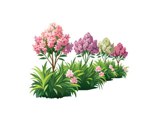 "Pink Oleander Flower Bushes – Hand-Drawn Botanical Illustration Isolated on" Blooming Rhododendron Trees in Spring Garden Illustration"
 White Background"