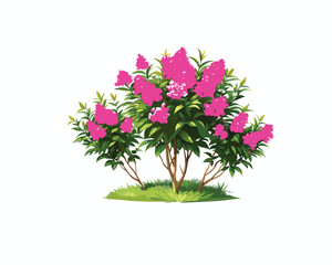 "Pink Oleander Flower Bushes – Hand-Drawn Botanical Illustration Isolated on" Blooming Rhododendron Trees in Spring Garden Illustration"
 White Background"