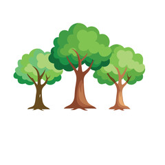 Isolated Broadleaf Tree Vector Art Lush Green Tree Illustration on White Background