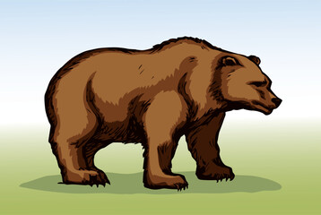 Vector drawing. Cute big bear
