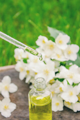 Jasmine essential oil in a glass bottle and jasmine flowers. Oils.
