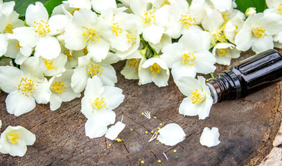 Jasmine essential oil in a glass bottle and jasmine flowers. Oils.