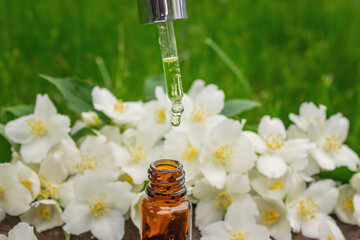 Jasmine essential oil in a glass bottle and jasmine flowers. Oils.