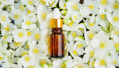 Jasmine essential oil in a glass bottle and jasmine flowers. Oils.