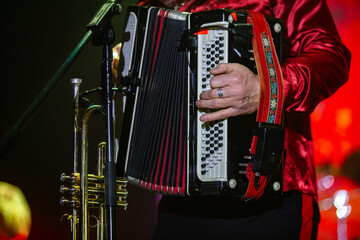 Musician in Red Shirt Playing a Bright Accordion