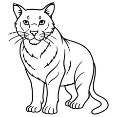 Wildcat Sketch line art vector