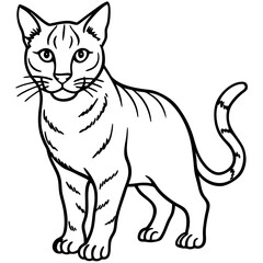 Wildcat Sketch line art vector