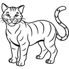 Wildcat Sketch line art vector