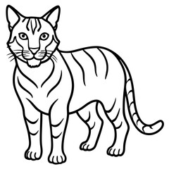 Wildcat Sketch line art vector