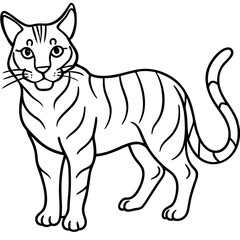 Wildcat Sketch line art vector