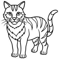 Wildcat Sketch line art vector