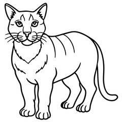 Wildcat Sketch line art vector