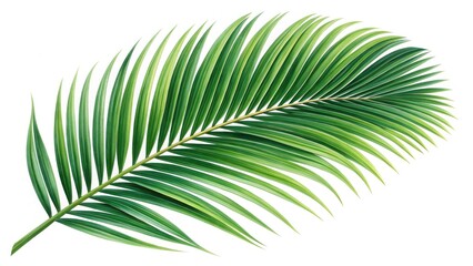 Lush green palm leaf close-up tropical forest nature photography vibrant environment macro view botanical beauty