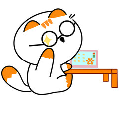 Cat_waitting_Support