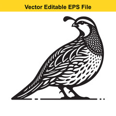 Vector illustration of a quail bird in a black and white style