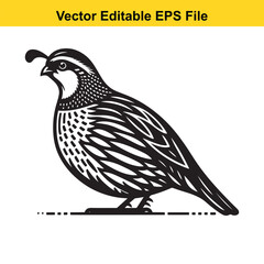 A black and white vector illustration of a quail