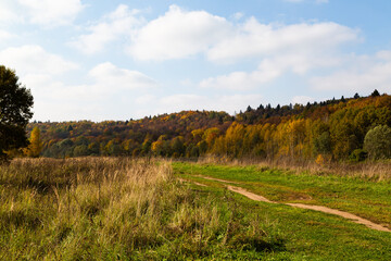 Wide view of an autumn forest in Tuchkovo with yellow trees and a dirt path winding through the grassy landscape.