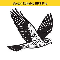 A majestic hawk in flight, a vector illustration with detailed wings and sharp features, perfect for logos or designs.