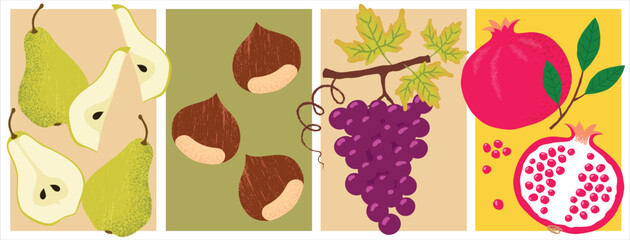 Colorful Vector Fruit Set &ndash; Pears, Chestnuts, Red Grapes, and Pomegranate Illustration Collection
