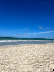 tropical beach with palm trees