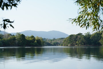 Calm Lake or River Surrounded by Green Forests and Distant Mountains