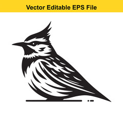 Stylized Black and White Bird Illustration: A Vector Graphic