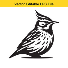 A striking black and white vector illustration of a crested lark