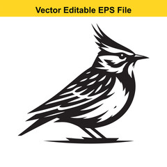 A black and white vector illustration of a skylark bird