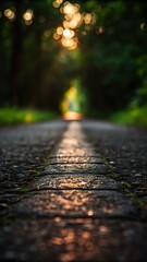 Sunlit path through a forest captured with a selective focus creates a tranquil scene.