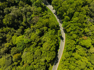 Car in rural road in deep rain forest with green tree forest view from above, Aerial view car in...
