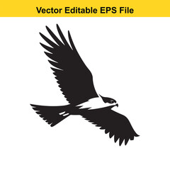 Majestic Hawk in Flight: A Vector Illustration