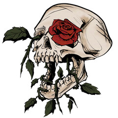 Vampire Skull and Rose
