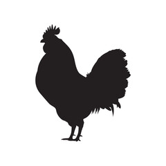 Vector silhouette of a standing chicken. Perfect for farm logos, vintage designs, countryside themes, animal icons, and rural illustrations.