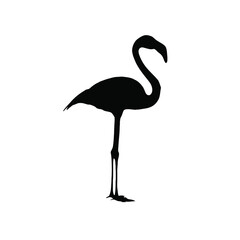 Fototapeta premium Black Flamingo Silhouette Bird Profile View white background