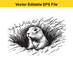 A prairie dog peeking out of its burrow, hand-drawn illustration