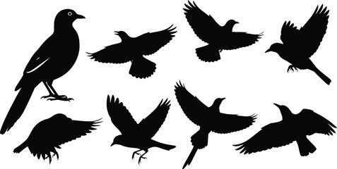 Obraz premium A collection of fifteen black flag icons with varying shapes and designs on a white background set