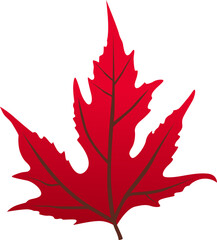 Autumn Leaf Vector Collection - Gradient Red