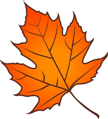 Autumn Leaf Vector Collection - Gradient Orange
