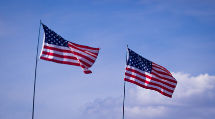 The American flag x2