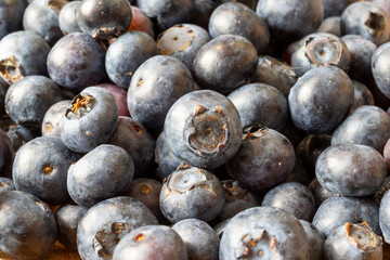 Blueberries