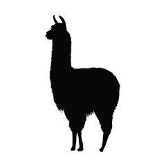 Black Silhouette of a Llama Standing white background