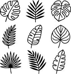 Obraz premium set of tropical leaves.eps